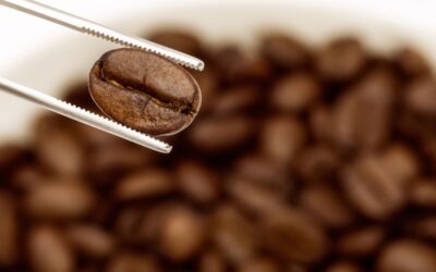Specialty Coffee: un viaggio alla scoperta del caffè d’eccellenza